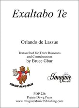 Exaltabo Te Bassoon Quartet cover